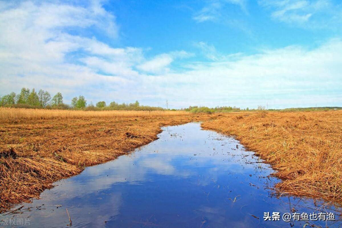 致散户们的一篇醒脑好文牢记低于25满仓买高于80满仓卖！