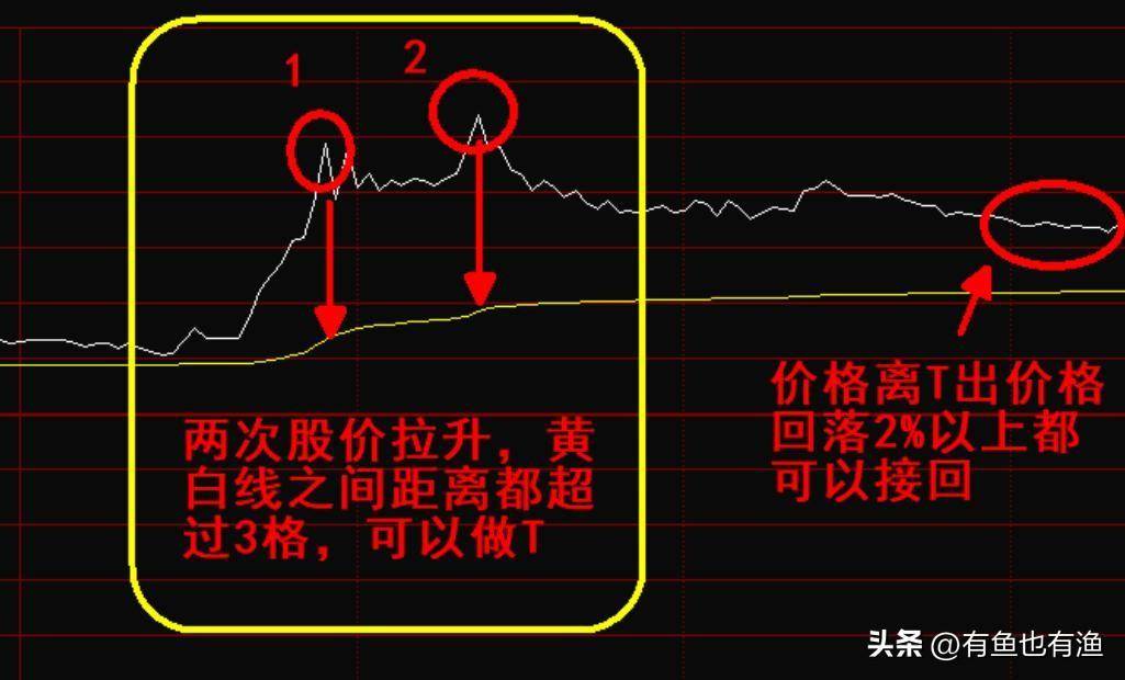 一位上海老股民12年来只持有一只股票反复做T20万做到了900万
