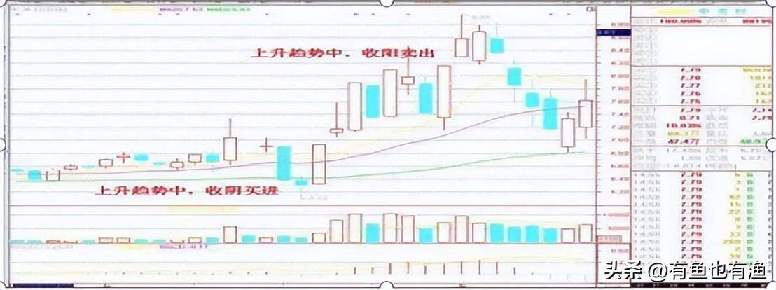 一位老教授罕见坦言炒股其实不用太复杂用最笨的方法持续盈利