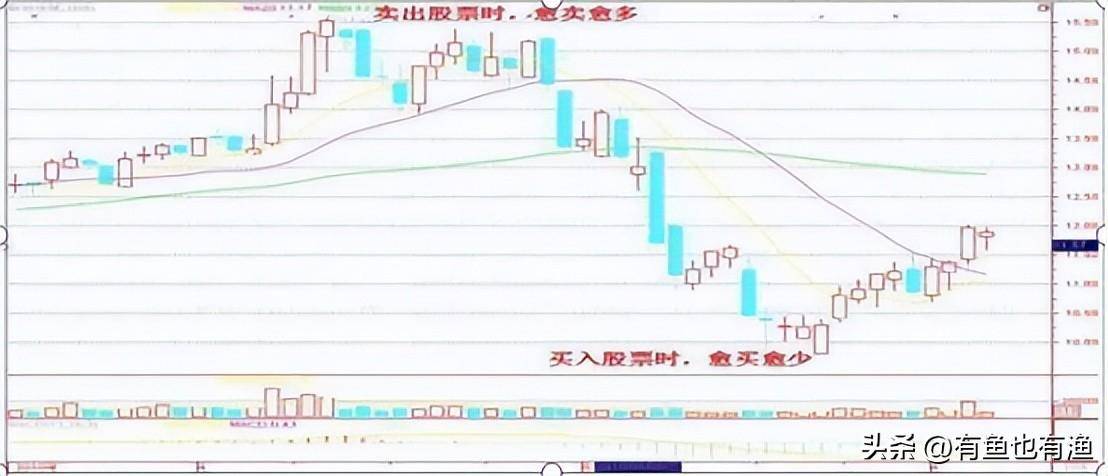 一位老教授罕见坦言炒股其实不用太复杂用最笨的方法持续盈利