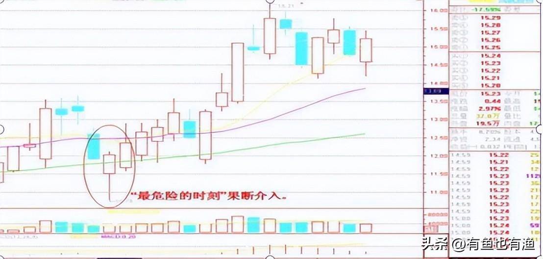 一位老教授罕见坦言炒股其实不用太复杂用最笨的方法持续盈利