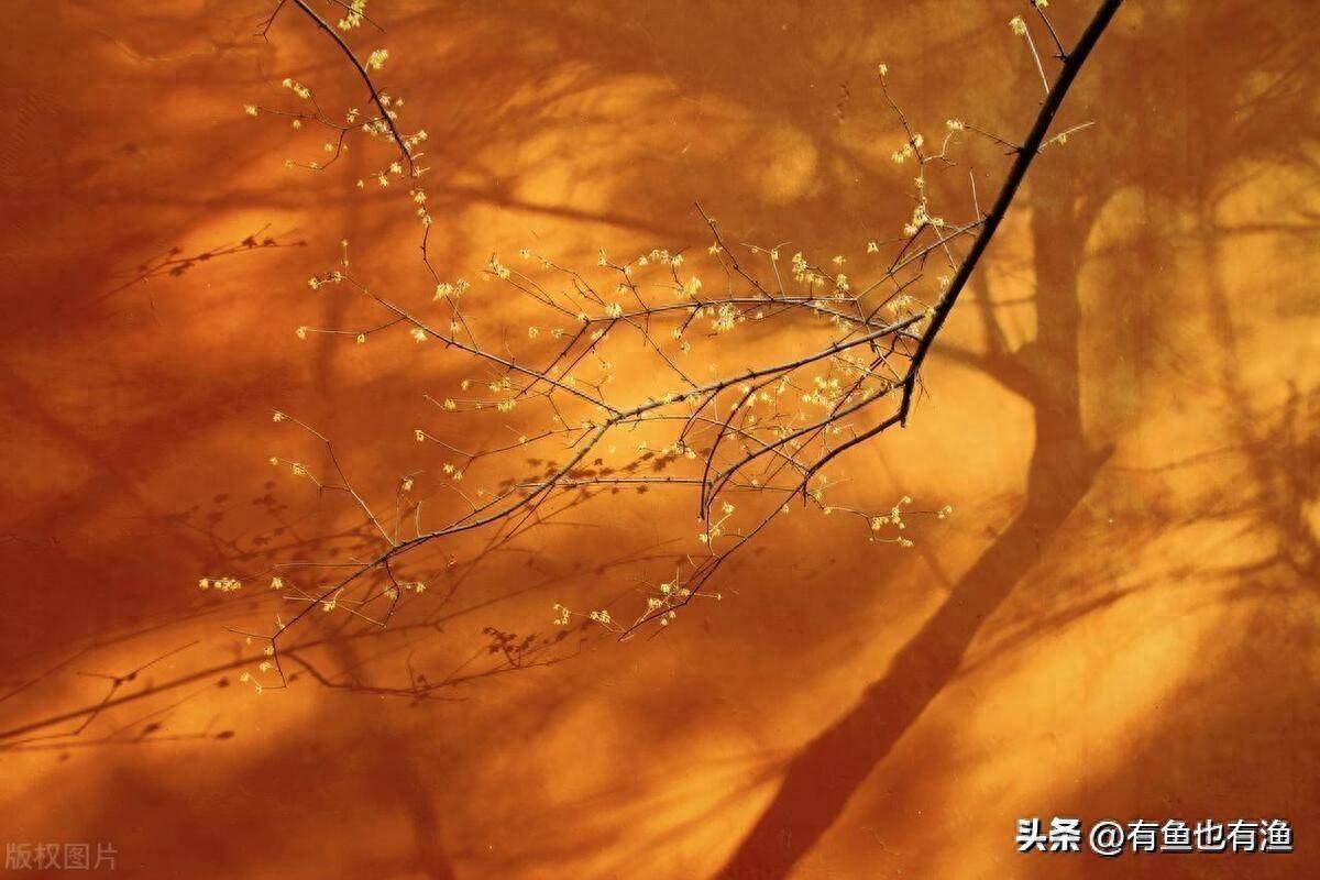 从亏损60万到赚1280万只因坚持一招锤子线买进上吊线卖出
