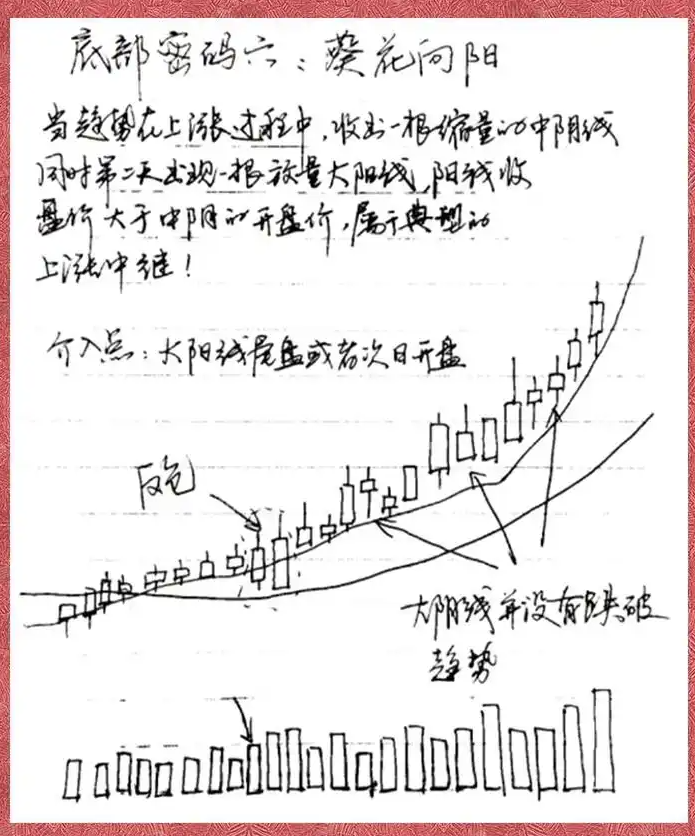 A股这是我见过关于散户与交易最透彻的文章看不懂请不要炒股