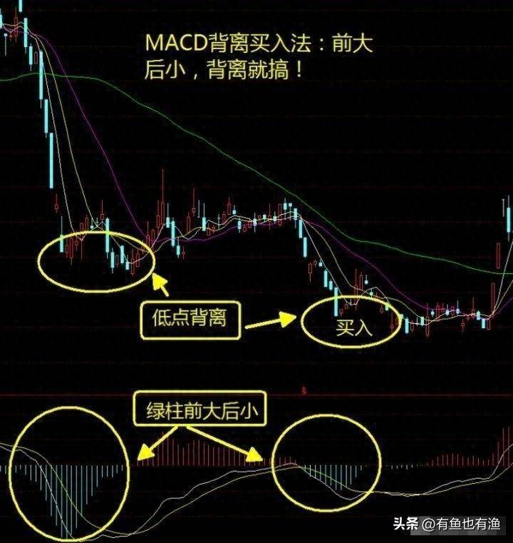 如果你立志以炒股养家把本文当作你的垫脚石你会赢的很轻松！
