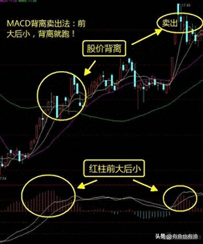 如果你立志以炒股养家把本文当作你的垫脚石你会赢的很轻松！