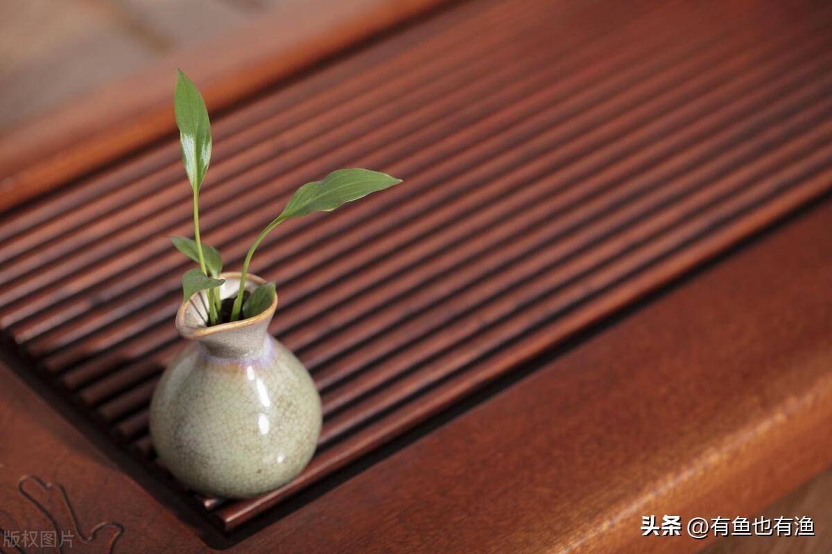 学会做T才是小资金快速翻倍的最佳方式反复牢记简单实用