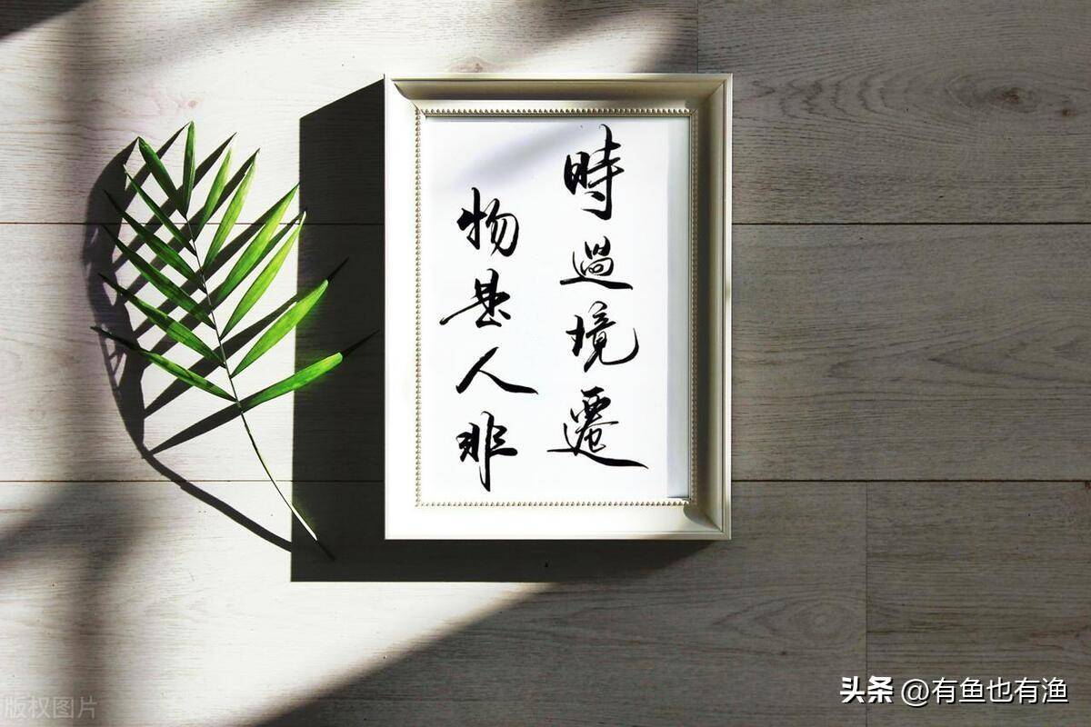 为什么A股走不上牛市？几乎没人知道的中国股市本质建议收藏！