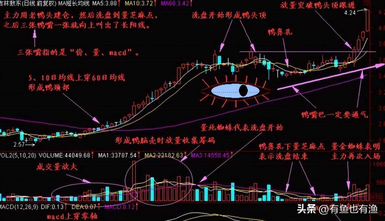 入市十六年全职炒股十年的老股民为你写了几条关于赚钱的建议
