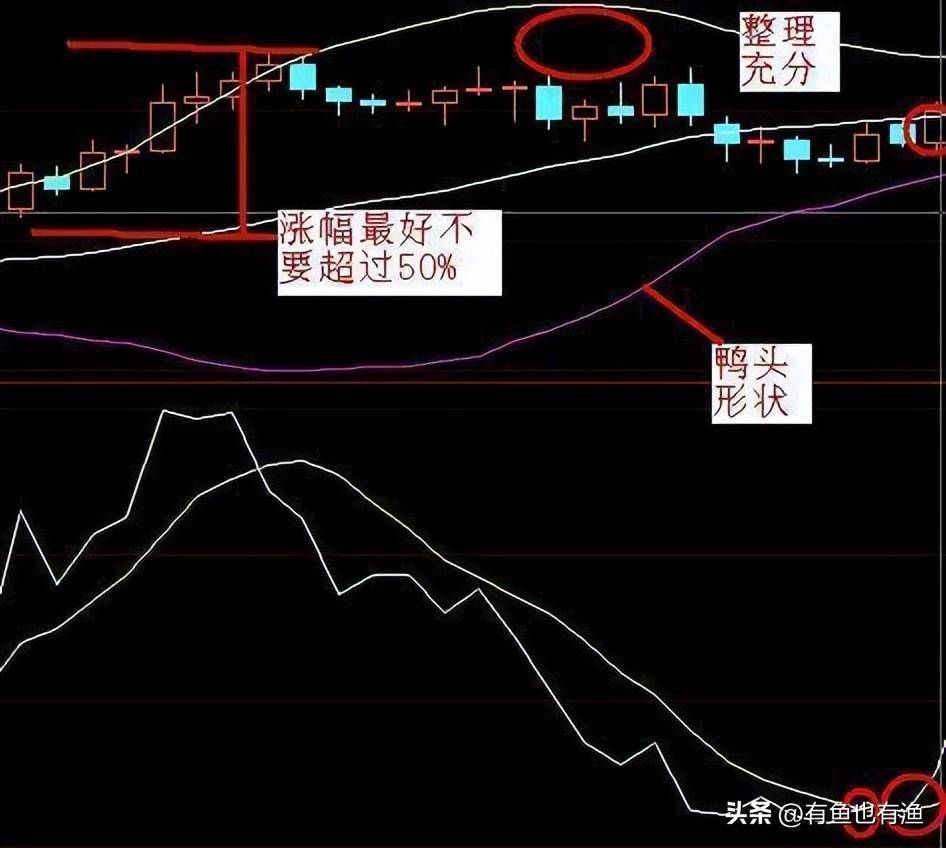 入市十六年全职炒股十年的老股民为你写了几条关于赚钱的建议