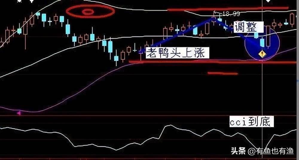 入市十六年全职炒股十年的老股民为你写了几条关于赚钱的建议