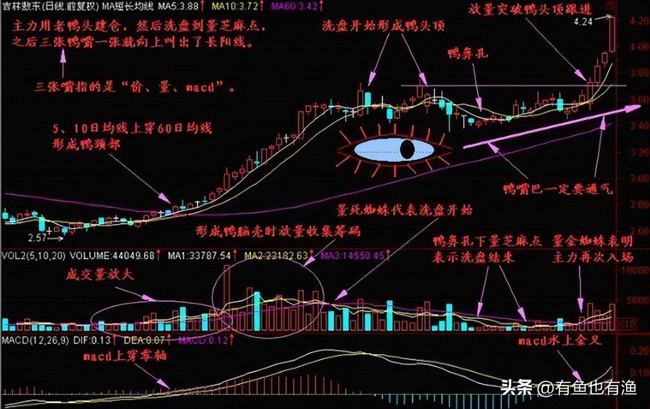 入市十六年全职炒股十年的老股民为你写了几条关于赚钱的建议