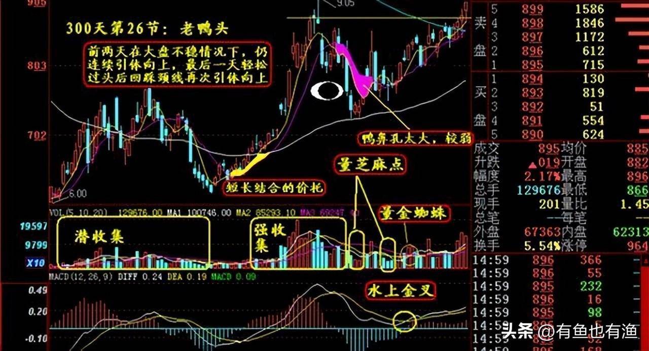 入市十六年全职炒股十年的老股民为你写了几条关于赚钱的建议