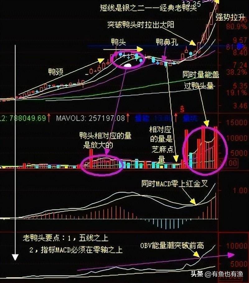 入市十六年全职炒股十年的老股民为你写了几条关于赚钱的建议
