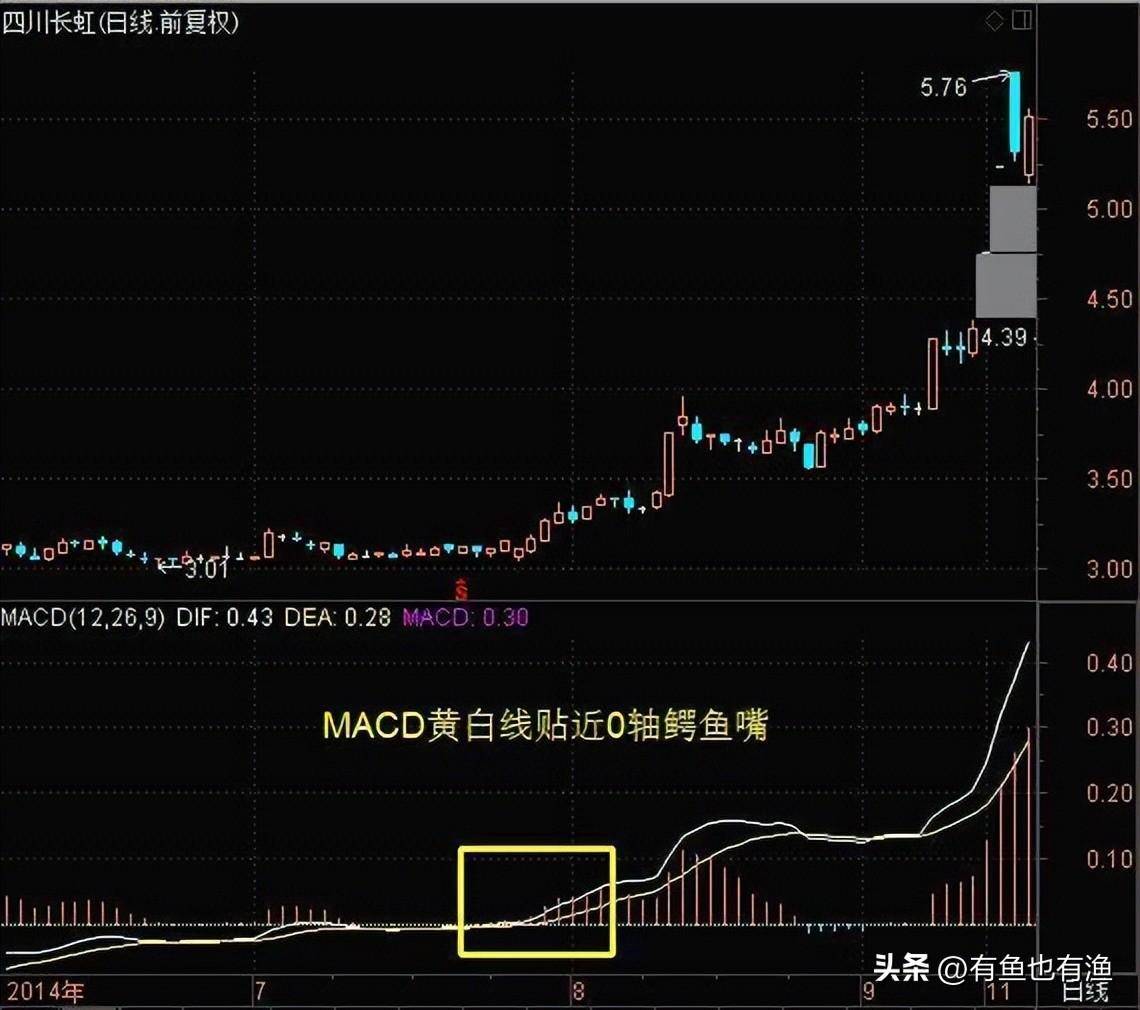 中国股市让我来告诉你从穷人到富人的全过程看懂了想亏钱都难