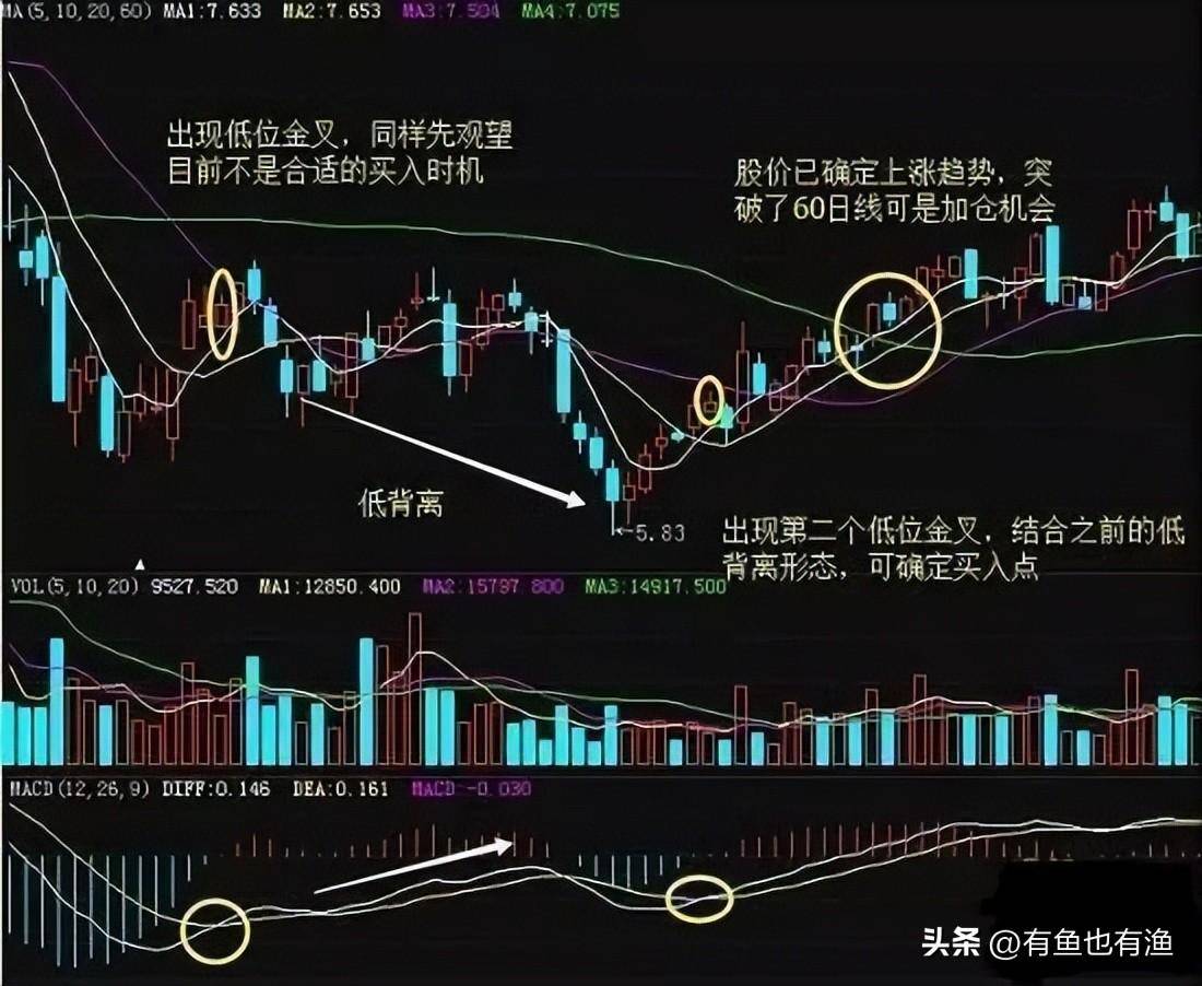 中国股市让我来告诉你从穷人到富人的全过程看懂了想亏钱都难