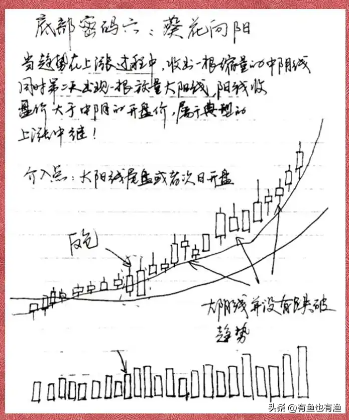 股民故事炒股30年满仓吃了17个跌停女儿一句话让他重拾勇气