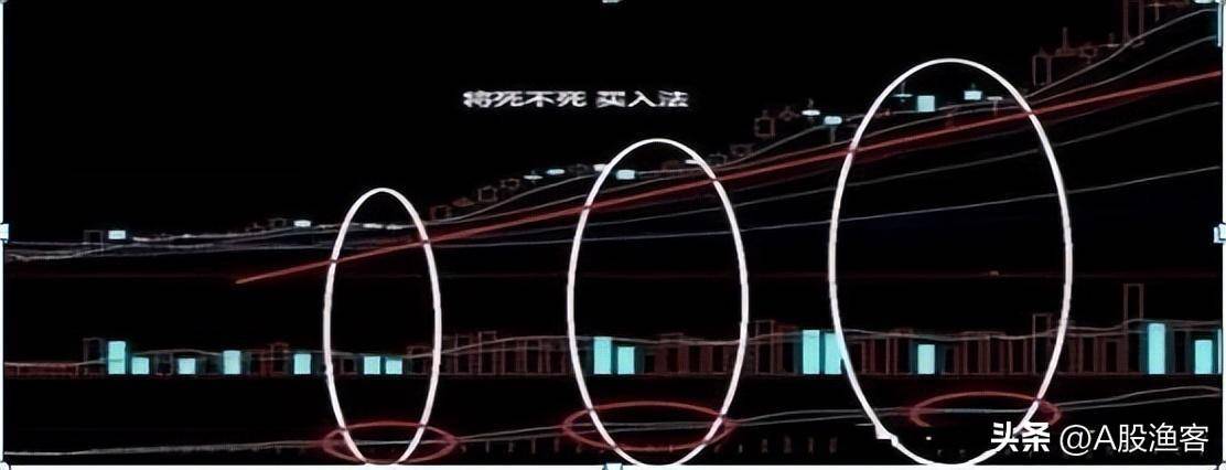 炒股的最高境界是什么？从股市赚钱的就有一种人讲得太透彻了！