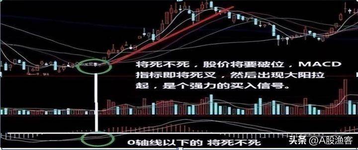 炒股的最高境界是什么？从股市赚钱的就有一种人讲得太透彻了！