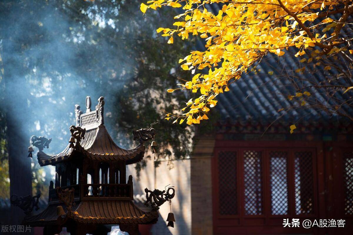 炒股的最高境界是什么？从股市赚钱的就有一种人讲得太透彻了！