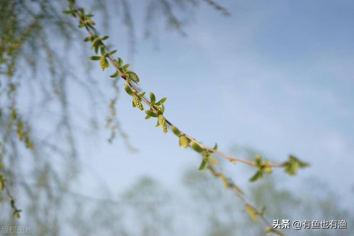 如果仅5万闲钱炒股不妨牢记这五个数字用最笨的方法最赚钱
