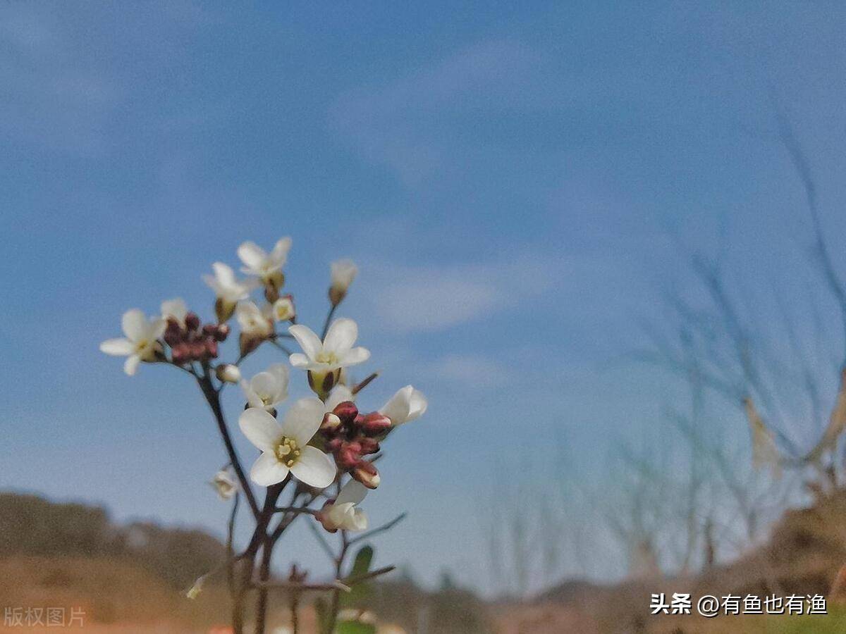 如果仅5万闲钱炒股不妨牢记这五个数字用最笨的方法最赚钱