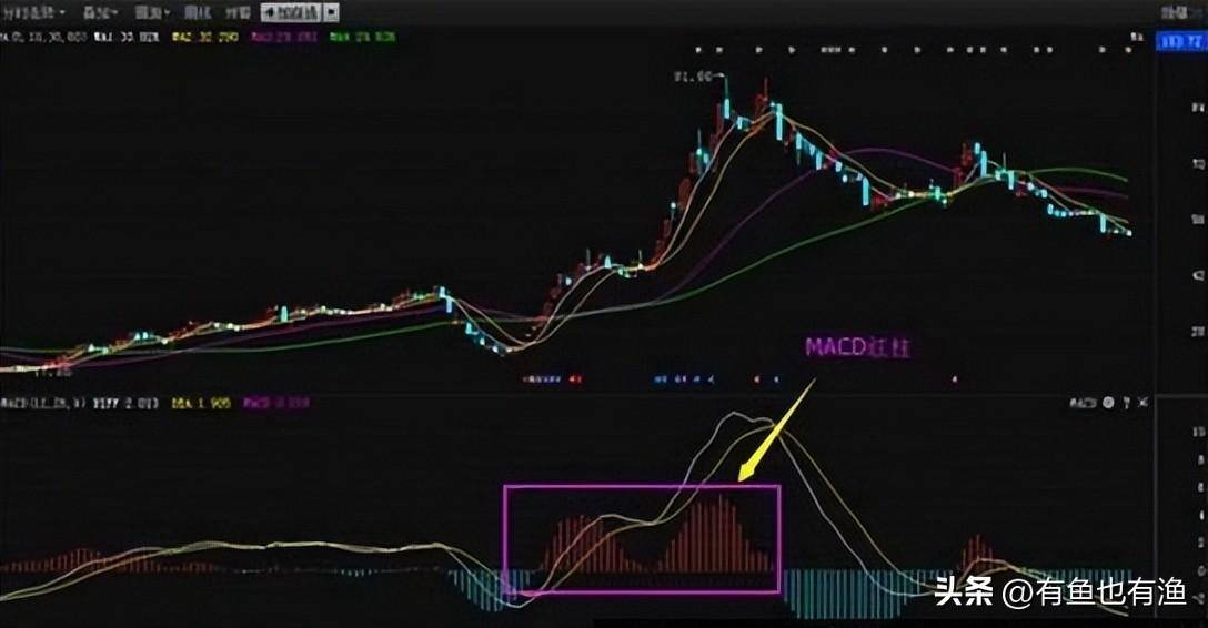 如果仅5万闲钱炒股不妨牢记这五个数字用最笨的方法最赚钱
