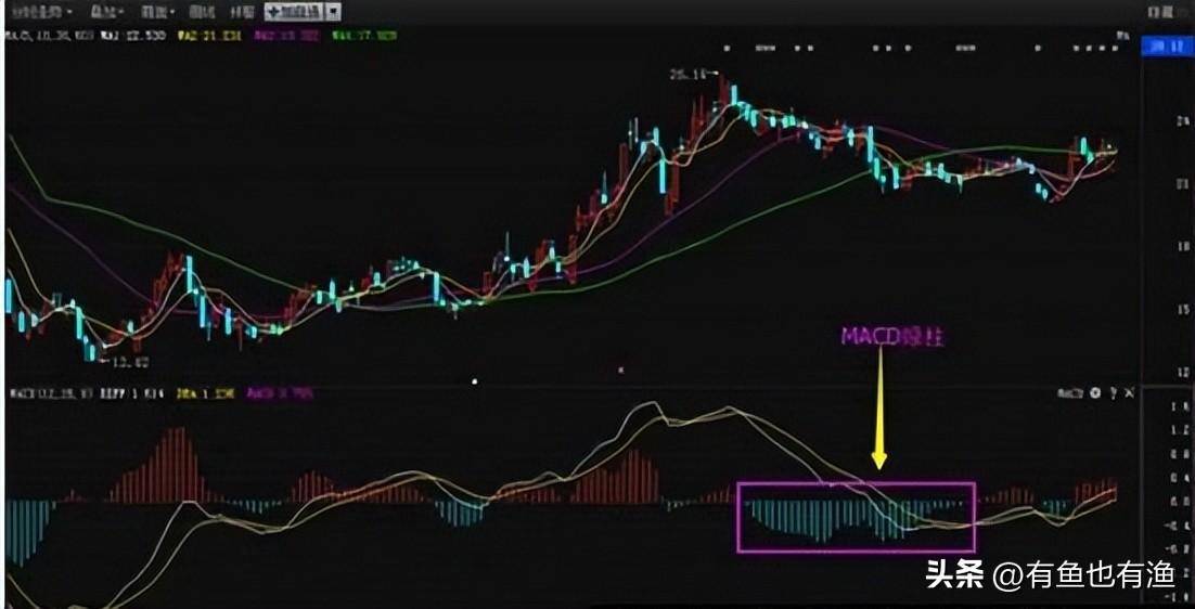 如果仅5万闲钱炒股不妨牢记这五个数字用最笨的方法最赚钱