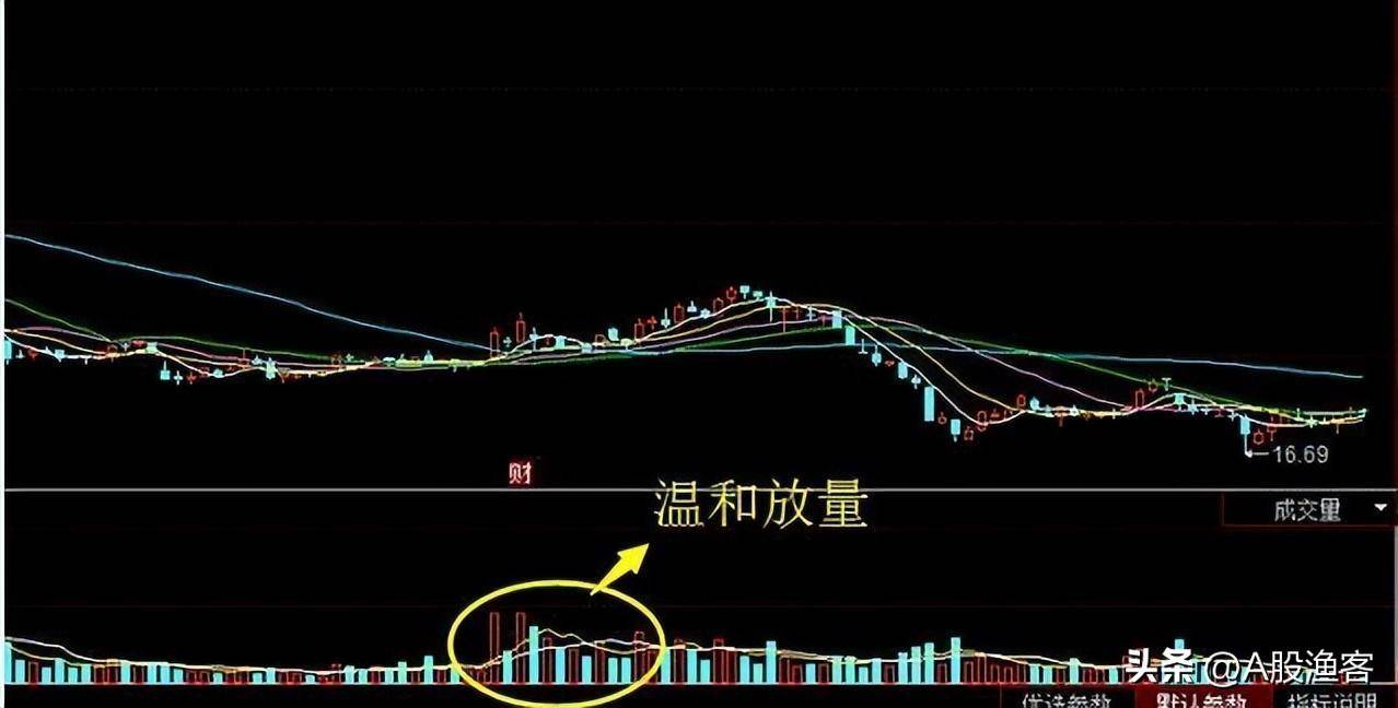 成交量才是股市最真实的指标一文讲透成交量胜读万本股书