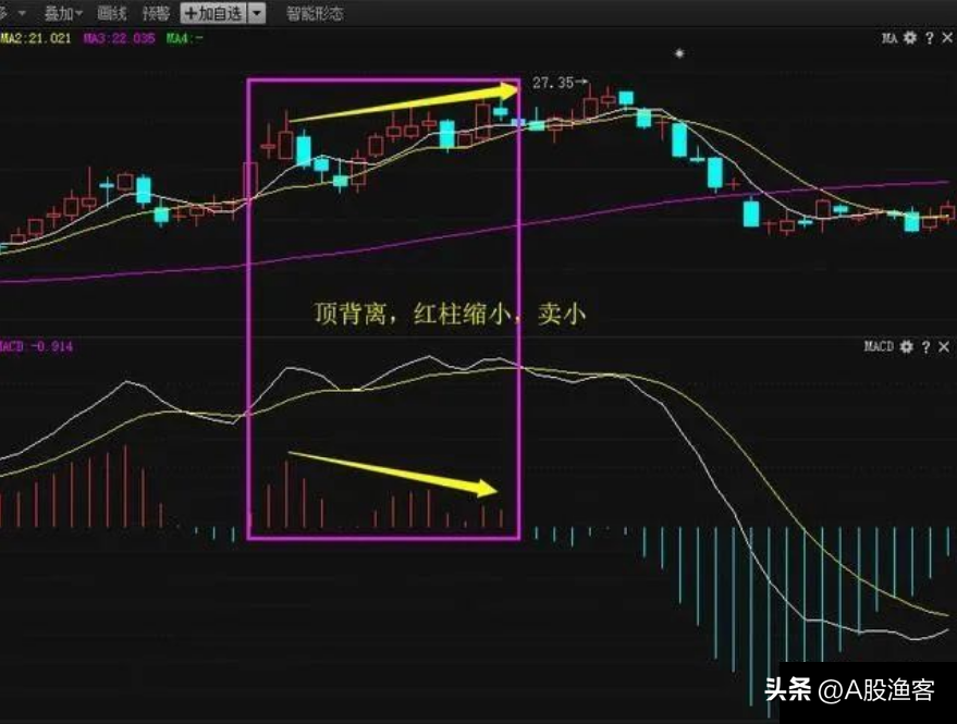 无论行情如何股市里永远能赚到钱的人看完你就知道为什么