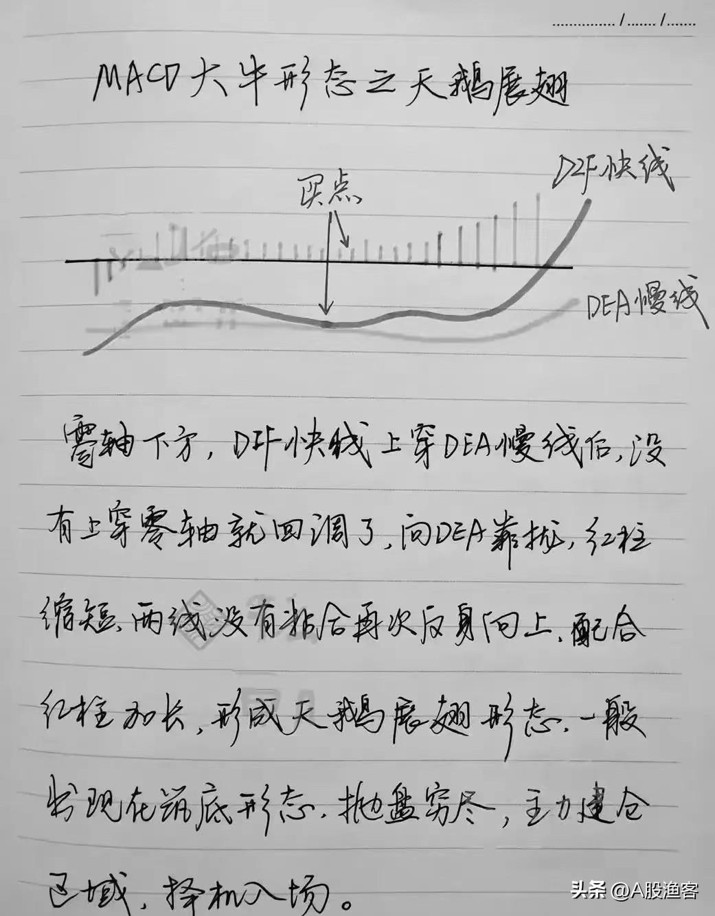 无论行情如何股市里永远能赚到钱的人看完你就知道为什么