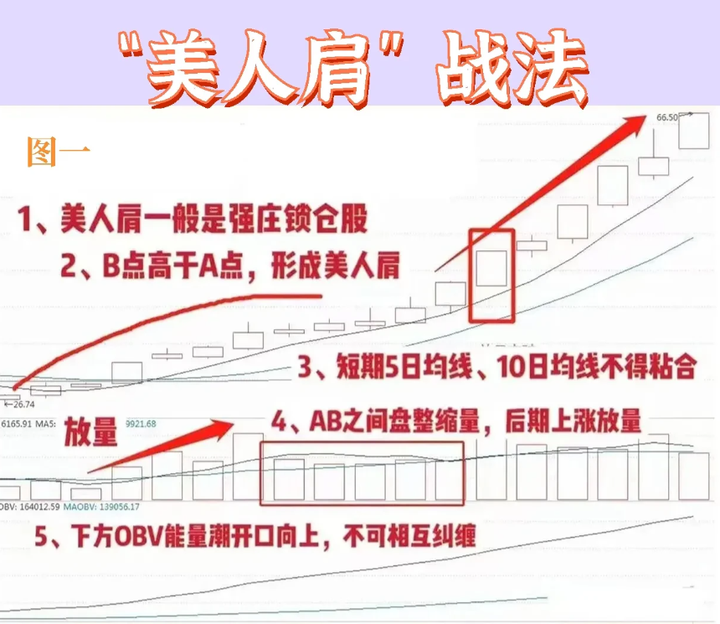 清华金融女博士箴言如果手里有十五万建议死啃美人肩战法！
