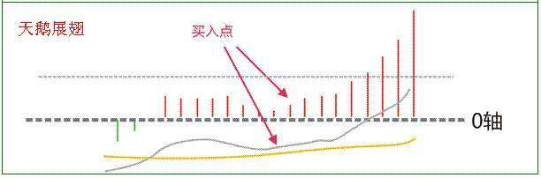 中国股坛第一人坦言炒股小资金做大的唯一方式建议散户深读！