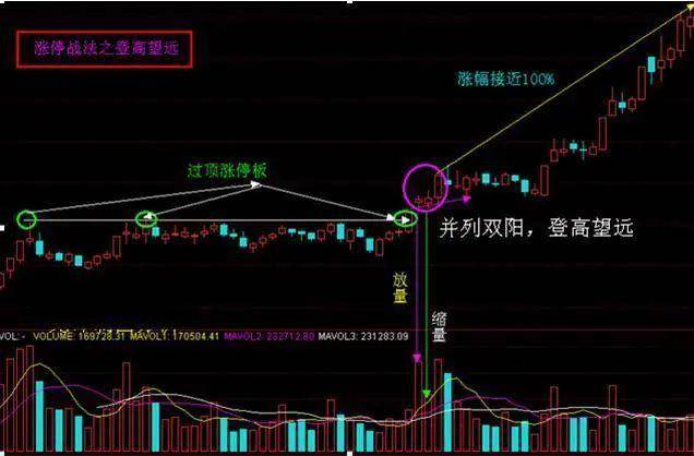 揭秘中国两大公平天梯高考与股市逆袭人生的双重密码！