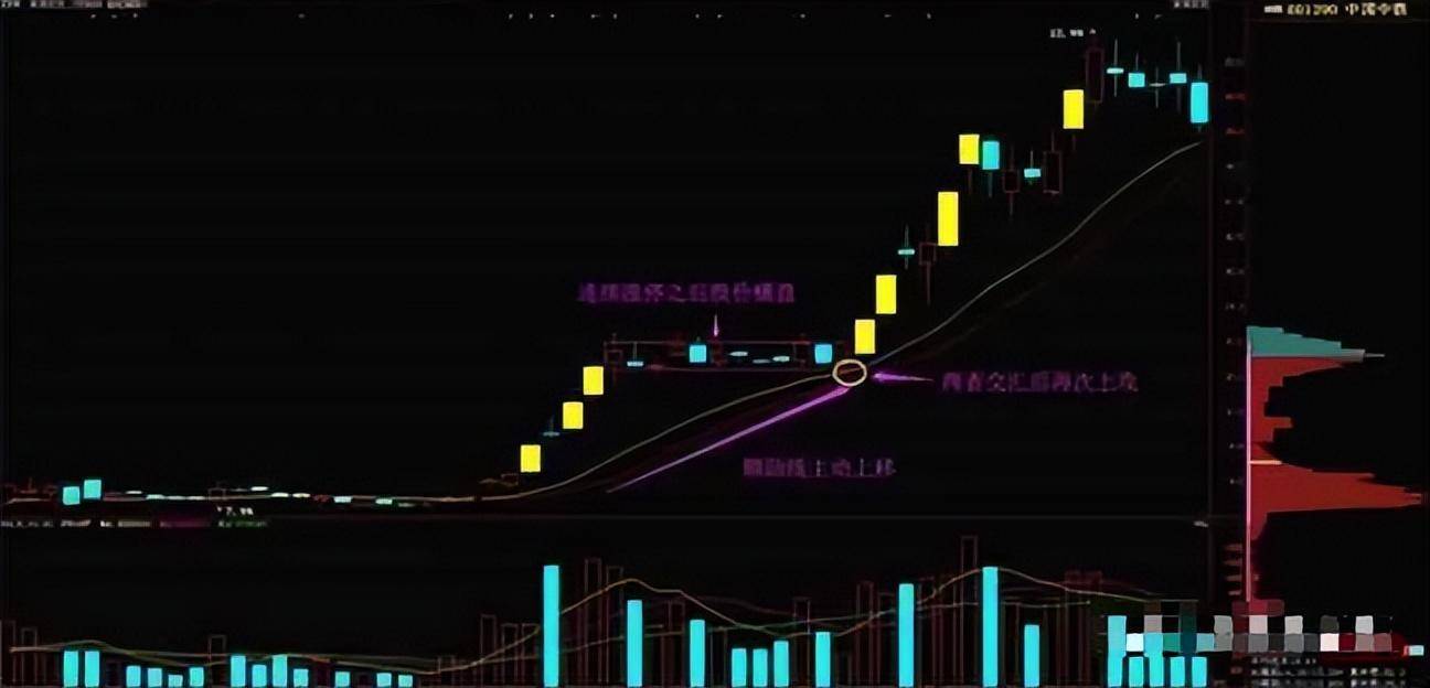 中国股市什么样的涨停板次日还会再涨停？看懂你就是高手！