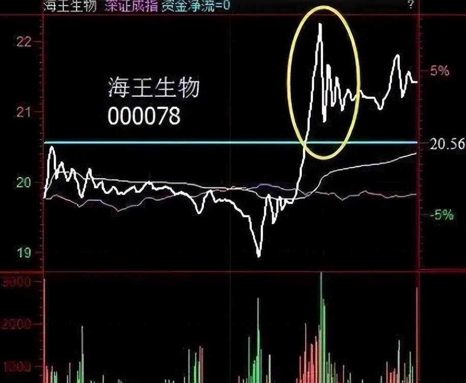 一位广东金融女博士坦言如果手中有二十万建议死啃这两条线！