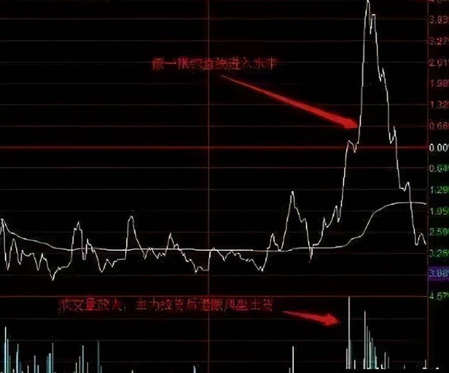 一位广东金融女博士坦言如果手中有二十万建议死啃这两条线！