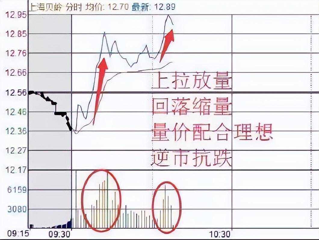 如果你立志把炒股当作第一职业本文将是你的垫脚石！很短很深！
