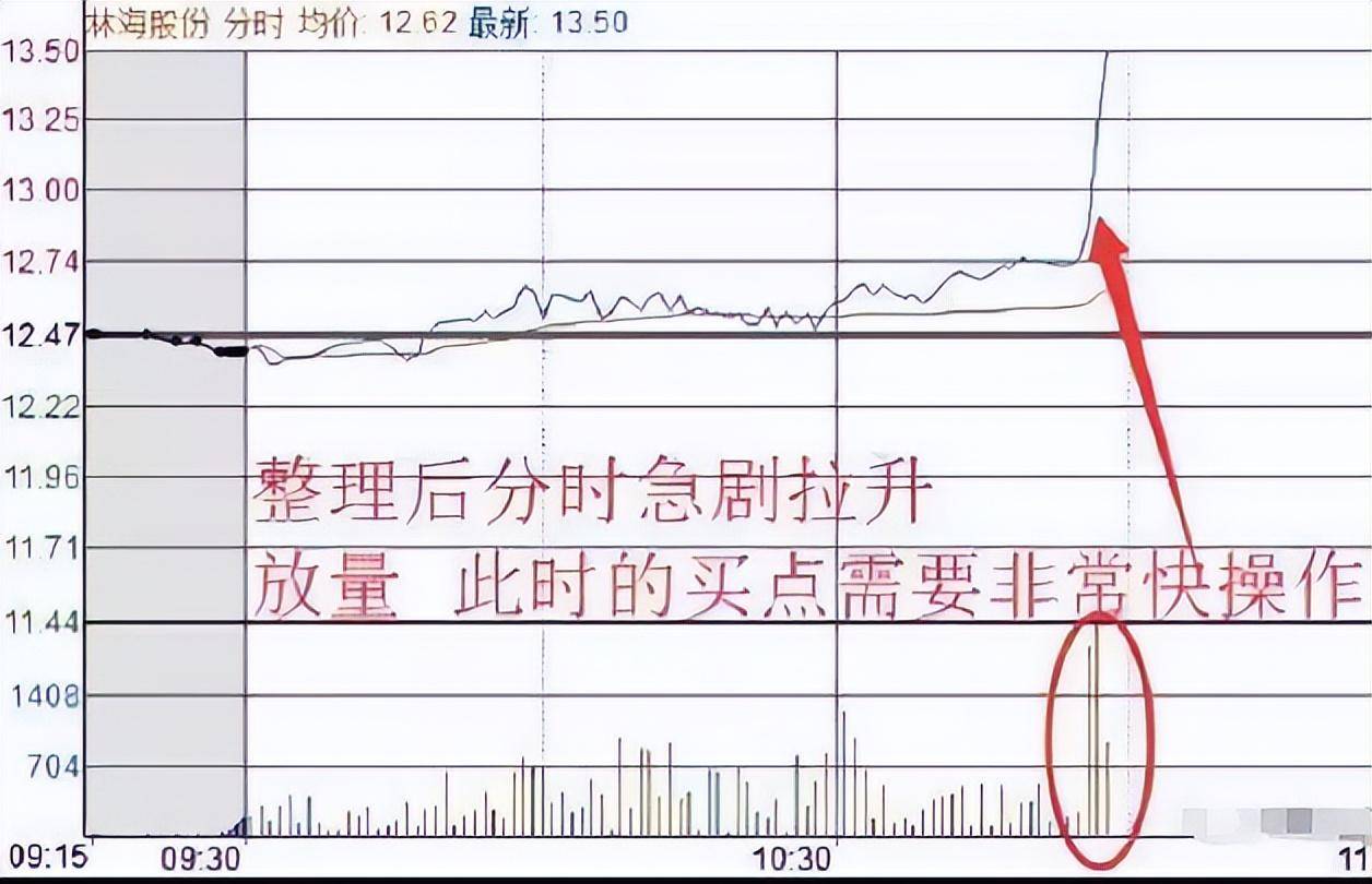 如果你立志把炒股当作第一职业本文将是你的垫脚石！很短很深！