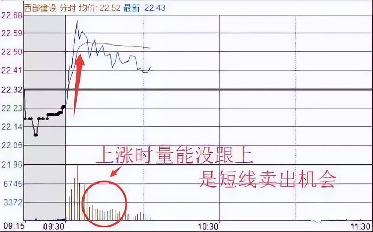 如果你立志把炒股当作第一职业本文将是你的垫脚石！很短很深！