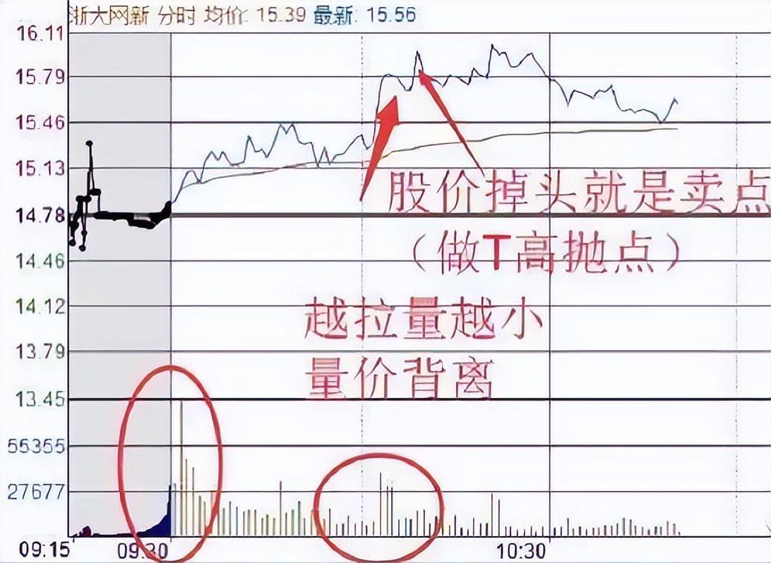 如果你立志把炒股当作第一职业本文将是你的垫脚石！很短很深！