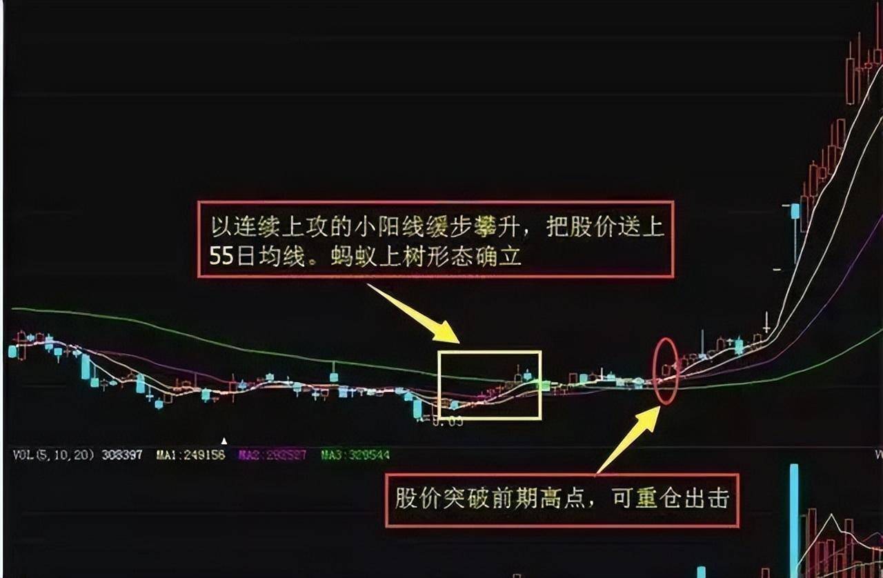 中国股市一旦出现蚂蚁上树散户注意了主升浪即将到来！