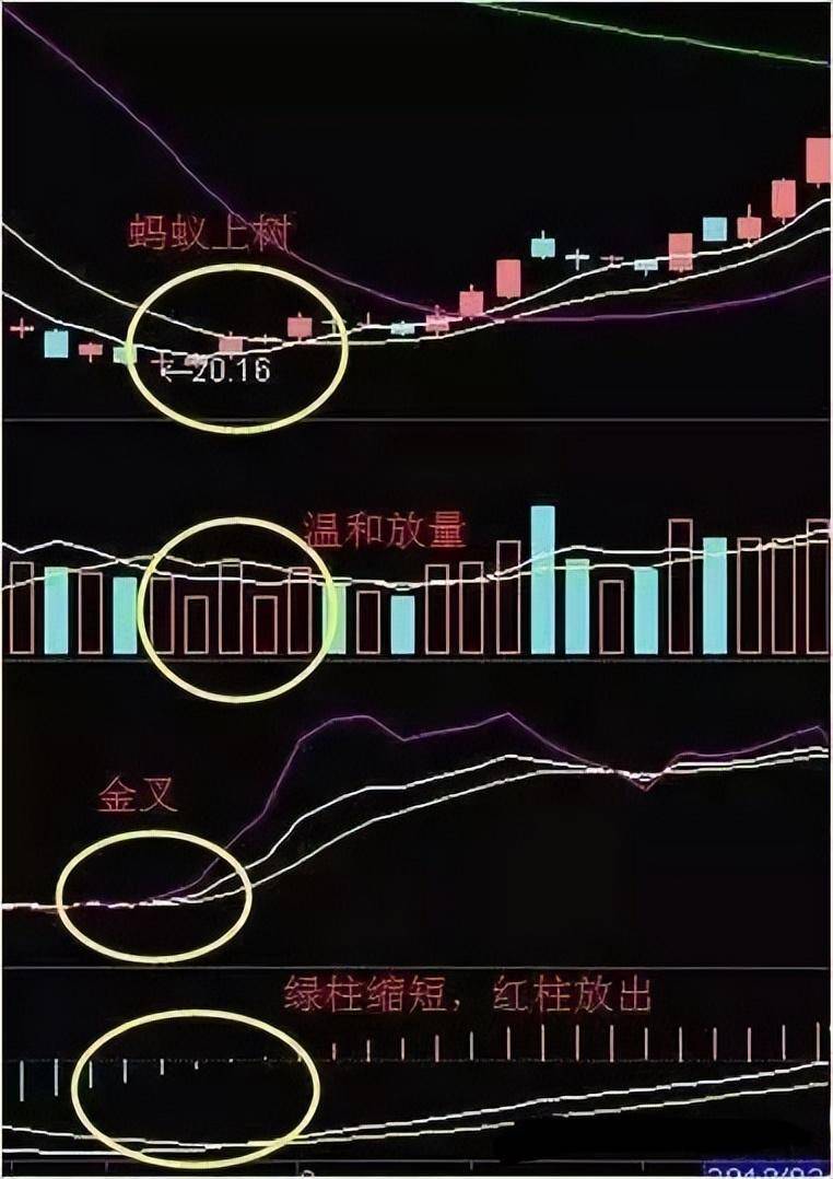 中国股市一旦出现蚂蚁上树散户注意了主升浪即将到来！