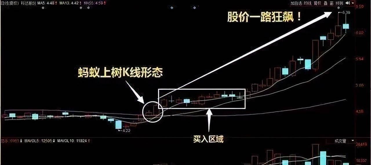 中国股市一旦出现蚂蚁上树散户注意了主升浪即将到来！