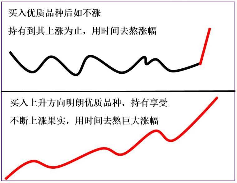 价格波动趋势各时段介入契机