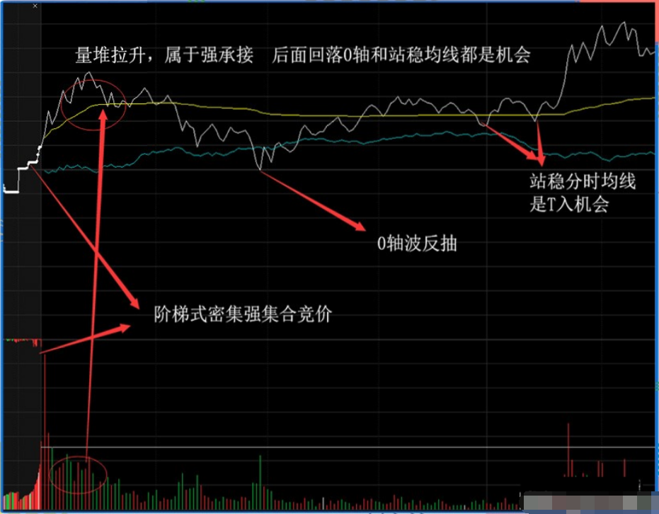 个股被套牢应该要割肉砍仓还是坚定持有本文说得一清二楚！