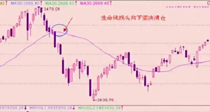 一位北大金融女博士坦言如果手中有二十万建议死啃这六大口诀