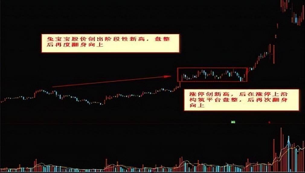 最全黑马股战法成功率极高句句经典！