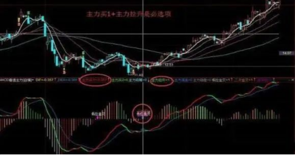 中国股市写给还在亏损的股民的一封信再忙也要看看此文千金