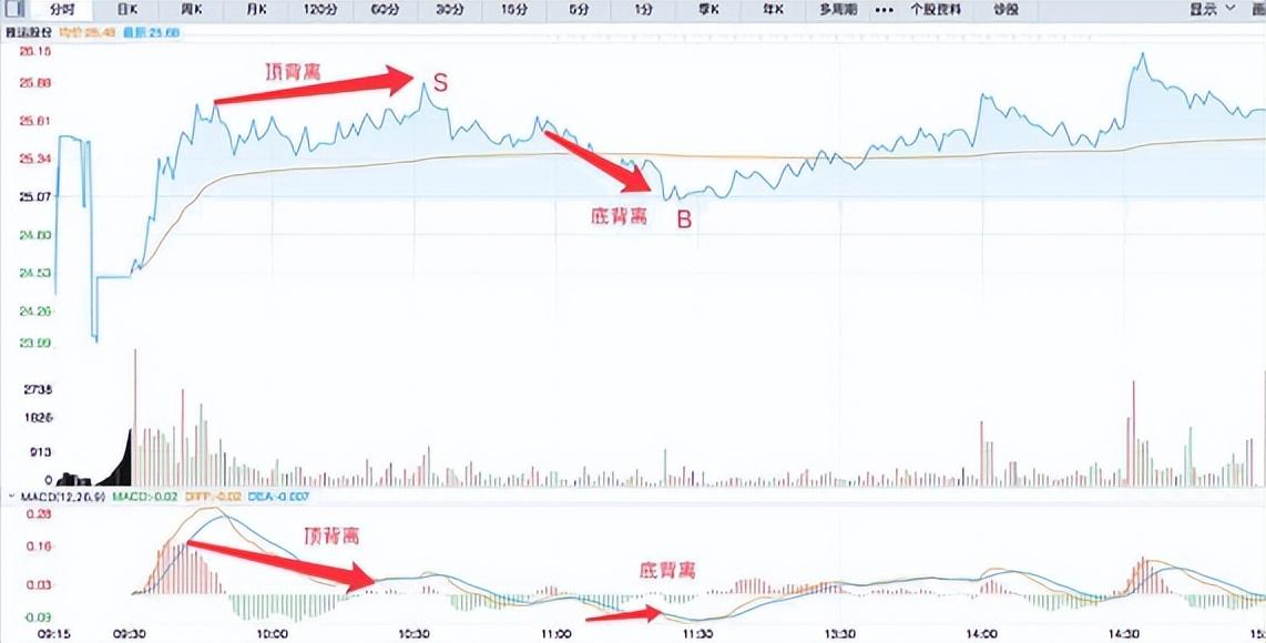 主力最害怕的一种人不频繁换股长期持有一支股票坚持每天做T