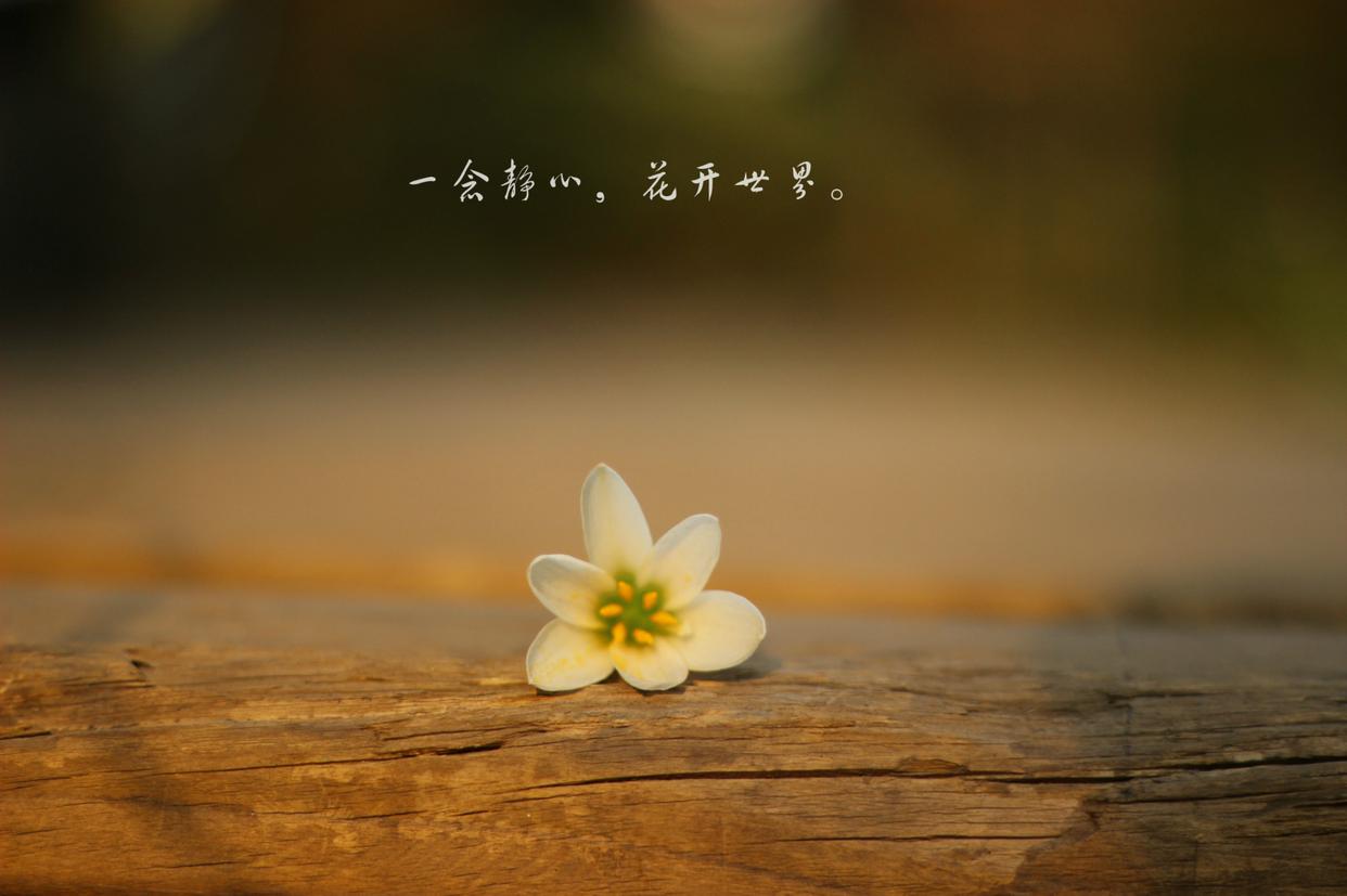 主力悄然离场你浑然不知？5种分时图早已说明一切很短很深
